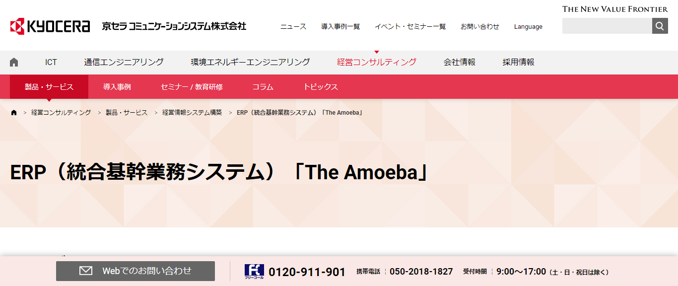 The Amoeba