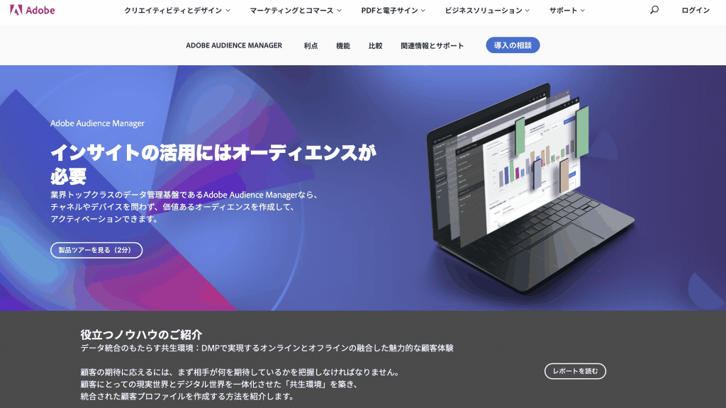 Adobe Audience Manager