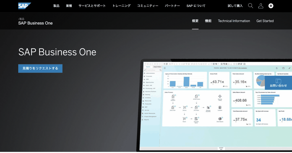SAP Business One
